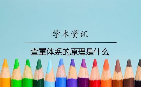 查重体系的原理是什么