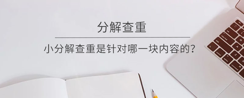 小分解查重是针对哪一块内容的？