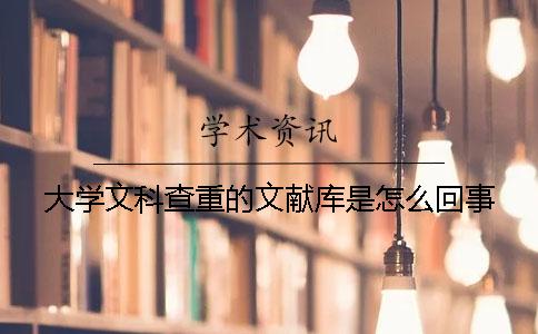 大学文科查重的文献库是怎么回事