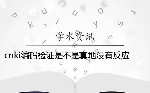 cnki编码验证是不是真地没有反应？