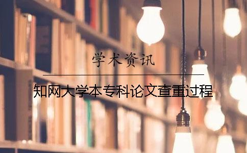 知网大学本专科论文查重过程